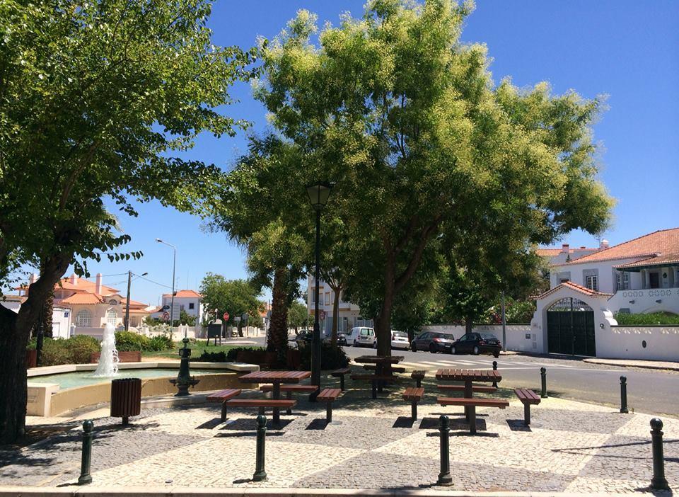 Casa Do Infante Guest House Ferreira Do Alentejo Exterior photo